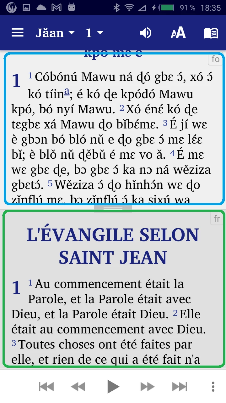 Fon Bible offline screenshot